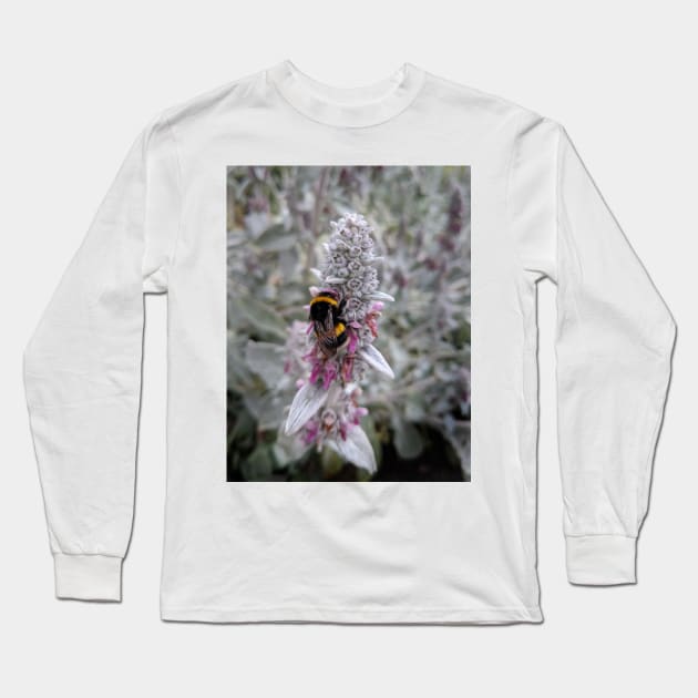 Bumblebee on Lambs Ear Flower Long Sleeve T-Shirt by MitaDreamDesign